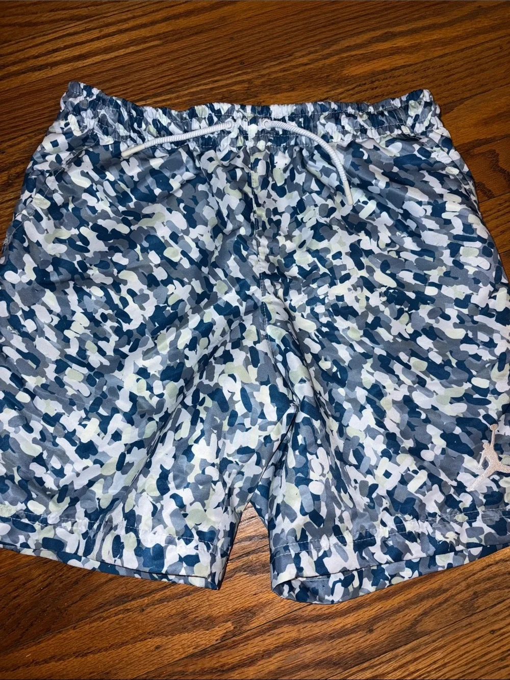 Jordan Men's Blue & White Swim Trunks